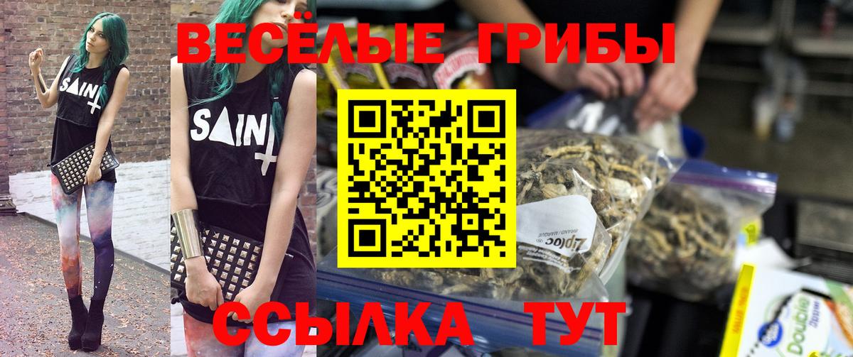Псилоцибиновые грибы Psilocybine cubensis Реж